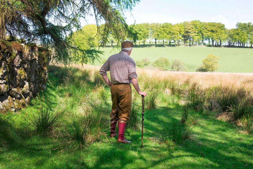 The Evolution of the Derby Handle Walking Cane