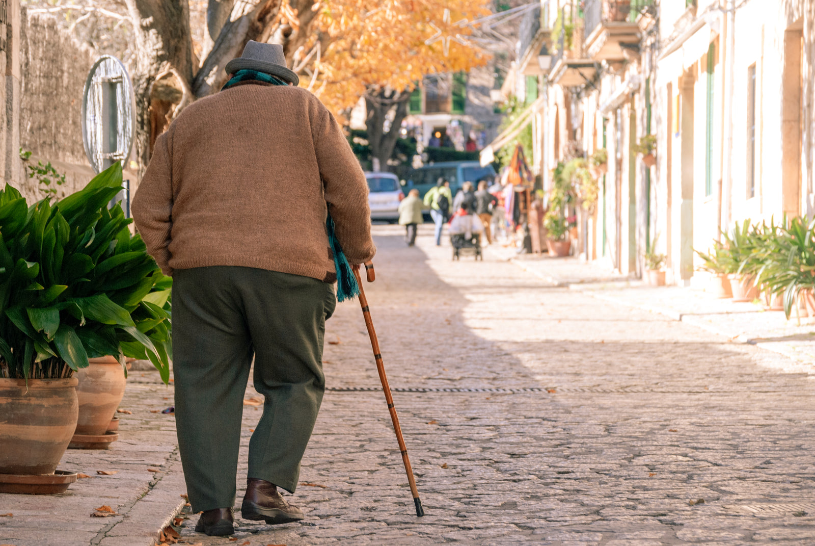 Exploring the Beauty and Benefits of Ebony Wood Walking Cane Shafts