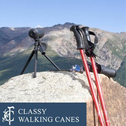 Hiking Poles and Staffs