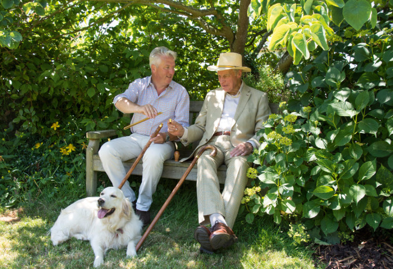 Mens Classy Walking Canes 