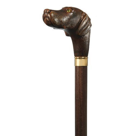 Lab Brownie Chocolate-Classy Walking Canes