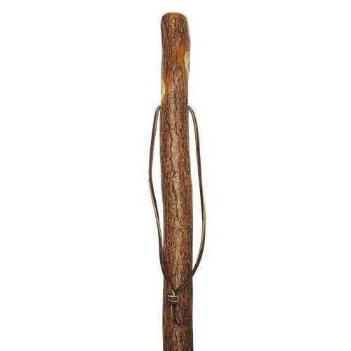 Sassafras Cane – Classy Walking Canes