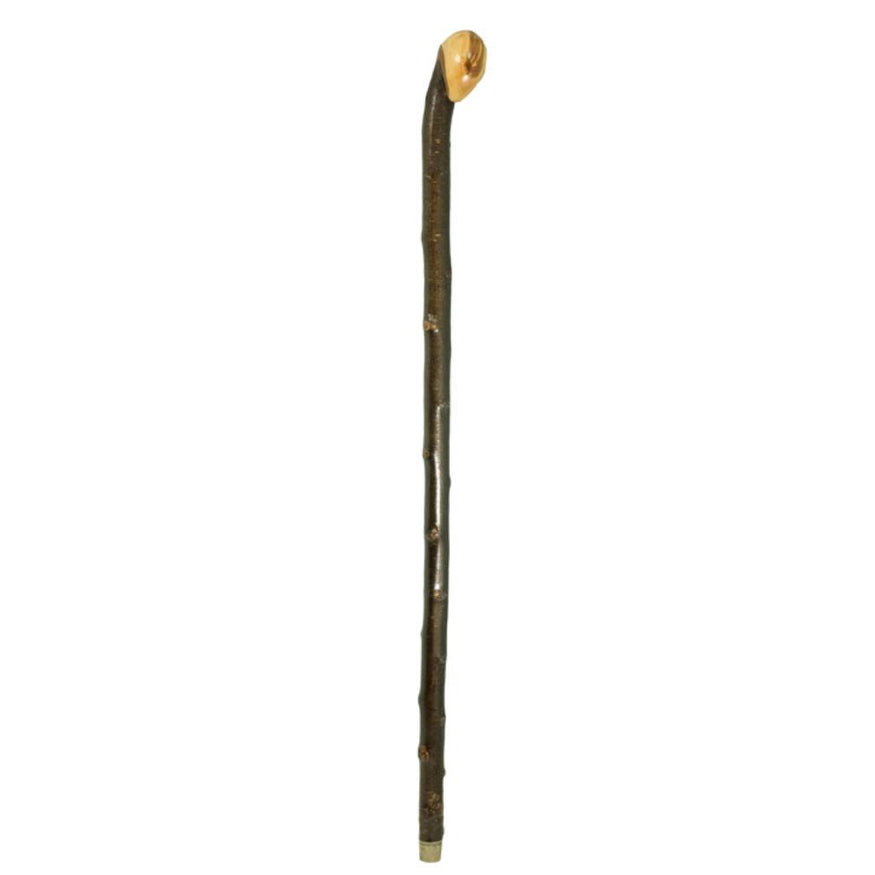 Blackthorn Walking Sticks – Classy Walking Canes